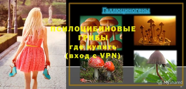 спайс Богданович