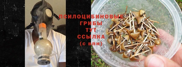 спайс Богданович