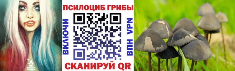 Псилоцибиновые грибы мицелий  наркота  Коломна 